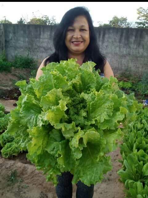 LEONICE SILVA COELHO (@leonicesilvaco1) on Twitter photo 