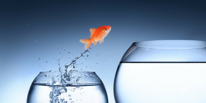 SipXcom's tweet image. Get Premium Features with our #FREE #Upgrade Offer hubs.ly/H0dVpg80 #sipXcom #opensource #UnifiedCommunications #PBXreplacement #UC #Business #Voice