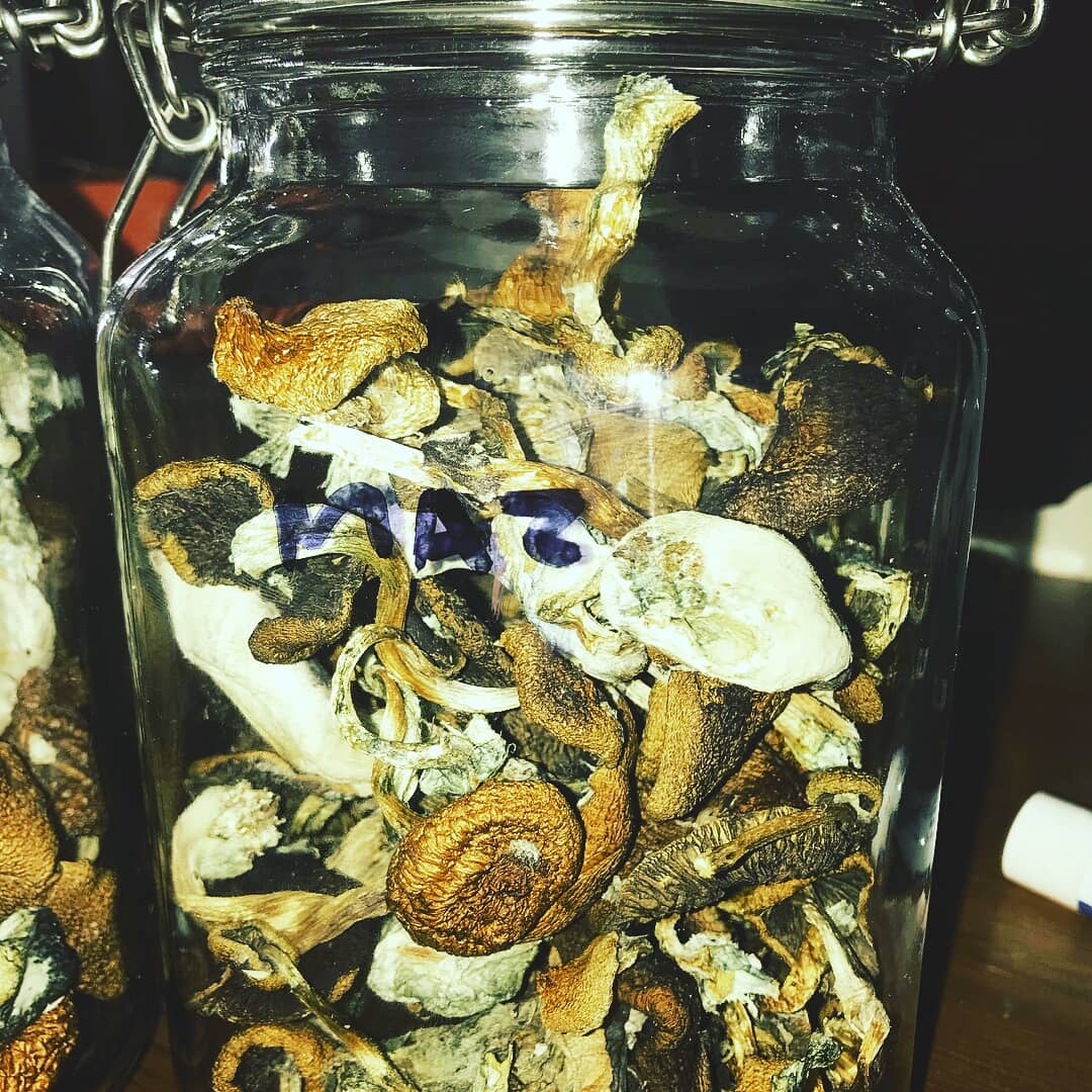 AlexisObrian's tweet photo. Top quality grade A dried golden caps #lsdart #alien #life #meditation #psilocybin #magicmushrooms #peace #like #lsdblotter #psychedelic #trippy #acid https://t.co/ujclzjCxnC