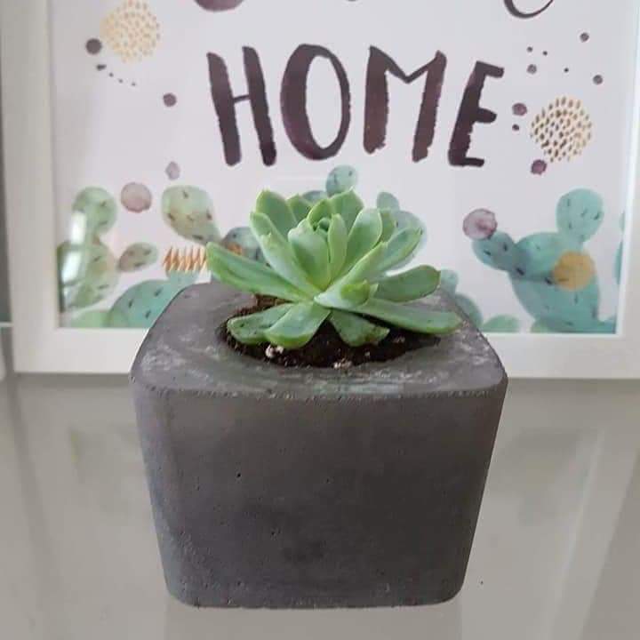 Tiesto hecho a mano incluye su plantita