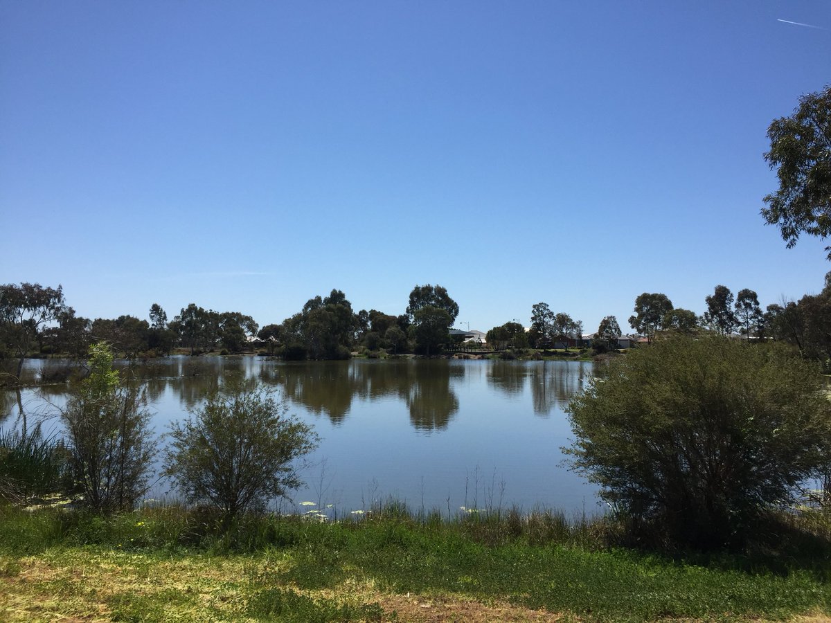Kinoreviews's tweet photo. Rest of the world is falling into #autumn 😂😂 muahh! while back down under, snakes coming out of hibernation, blazing sun is coming to greet us it’s #aussiespring ☀️ its not even summer yet but I’m excited. https://t.co/zHf1ewOjcM