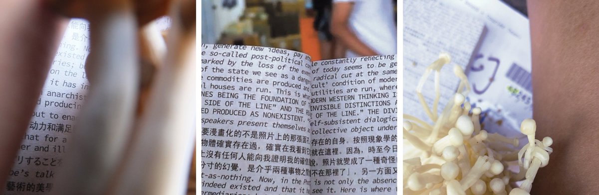 『카탈로그』No. 3  「번역 TRANSLATION」(오염된 언어들 Contaminating Languages)   by Display Distribute - mailchi.mp/8b21d38c5fff/n…