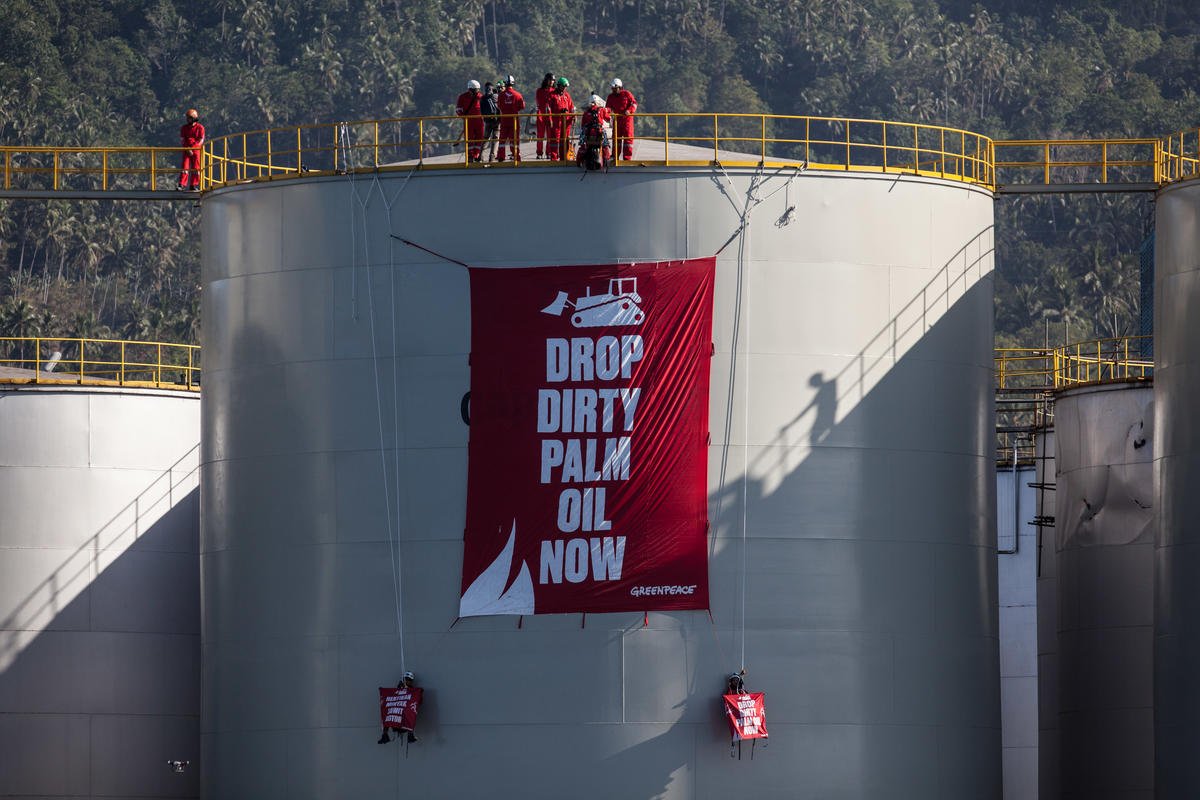 GreenpeaceNL's tweet photo. 30 activisten bezetten palmolie raffinaderij op Sulawesi! Hun eis; Unilever, Nestlé en Mondelez stop met het inkopen van palmolie dat van ontbossing komt. #DropDirtyPalmOil https://t.co/3tpsb4PtmX