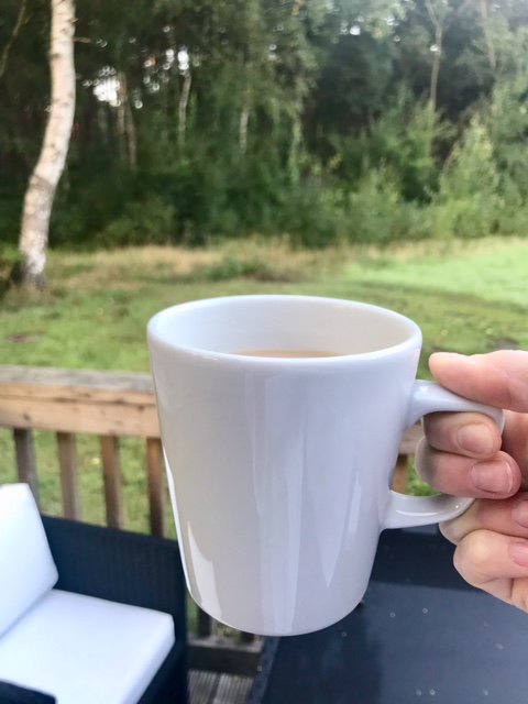 Good morning from the Sherwood Hideaway! Forest views and a cup of tea - the perfect way to start the day. #sherwoodhideaway