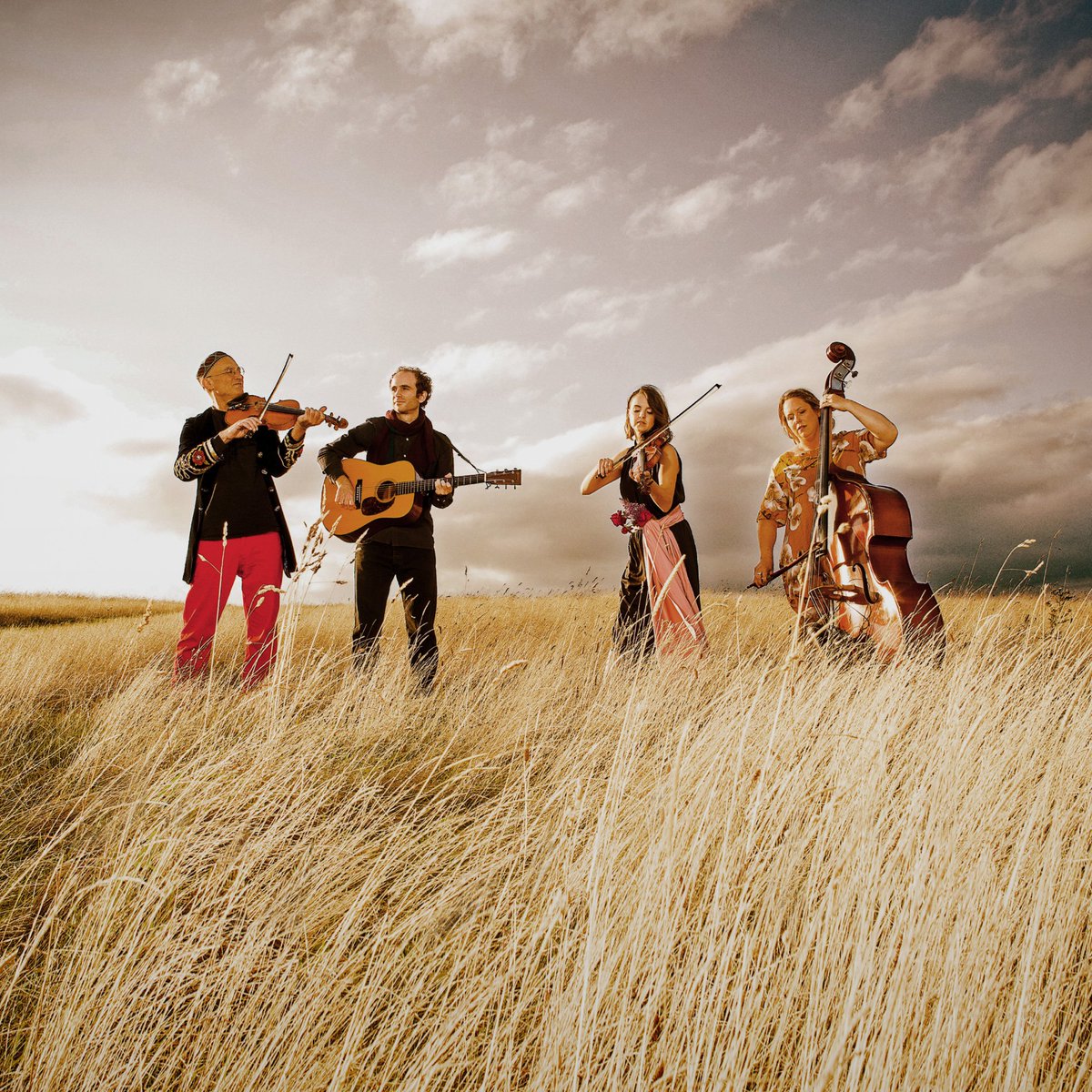 Captivating Bristol acoustic band Faeland come to North Devon for the first time in October. The band is at The Plough at The George in South Molton on Fri Oct 12th 
The Plough Arts Centre on 01805 624624