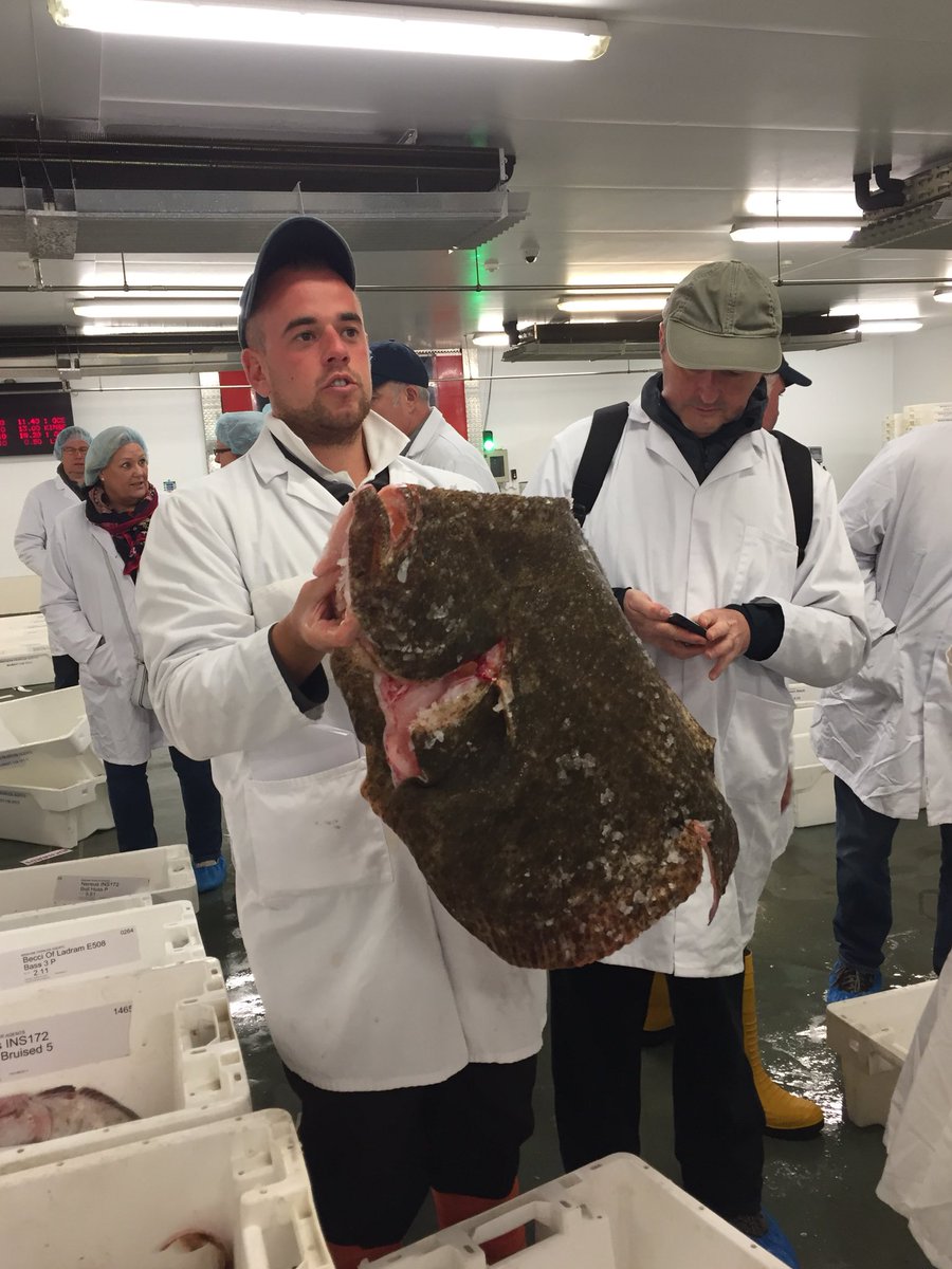 theseafoodfeast's tweet photo. What a fabulous start to the day. Getting up by the light of the full moon, Brixham Fish Market at 6am, watching the sun rise, then seafood breakfast from @RockfishBrixham . There are a few places left on tours on Tuesday 2 and Thursday 4 October. Info on https://t.co/EsKt4amDYs https://t.co/y3qOPi029h