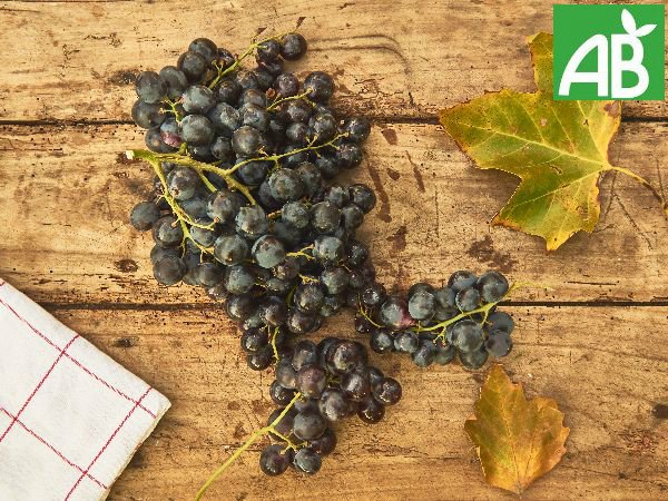 Vite Mon Marché tweet media