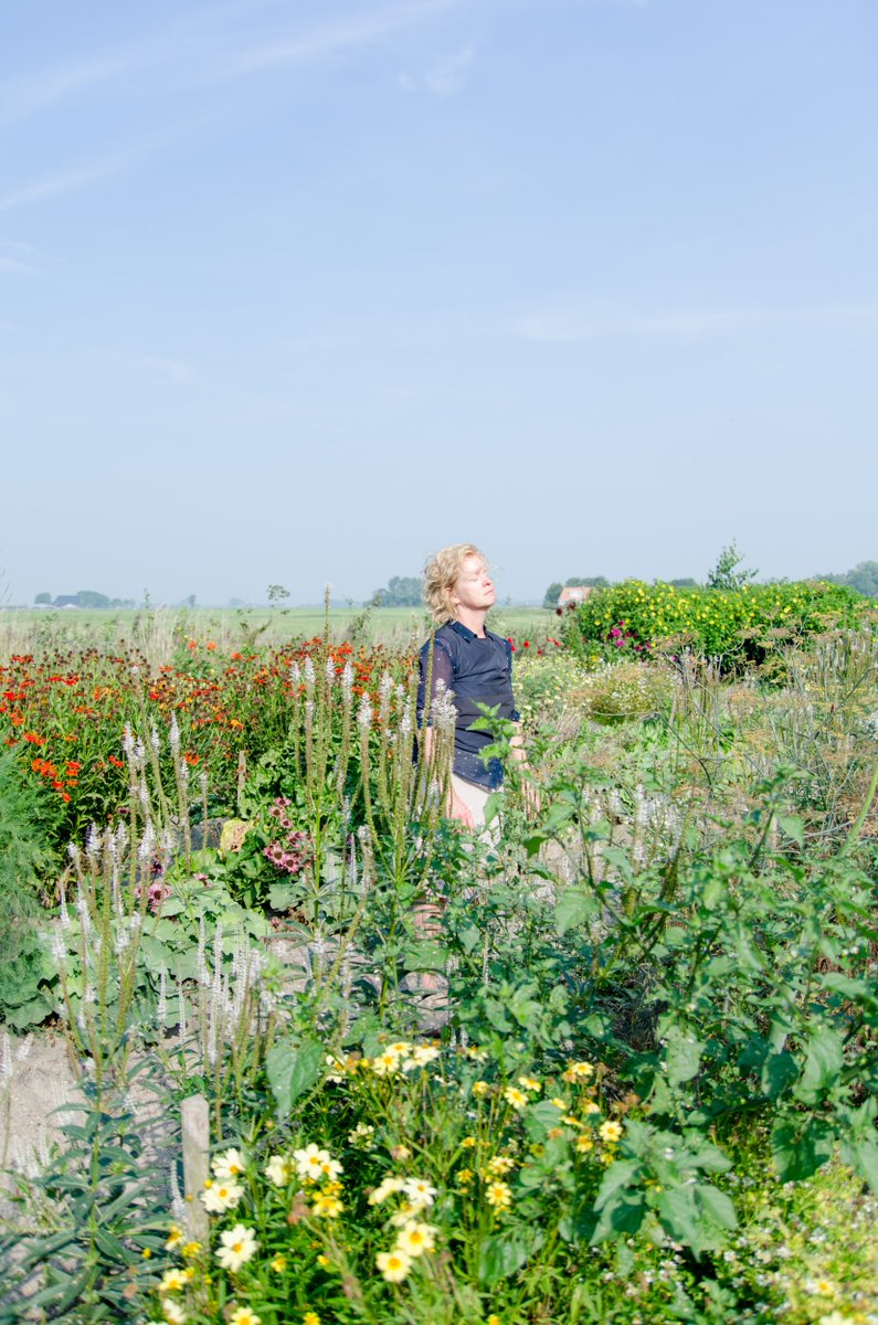 Op dinsdag 30 oktober komt beeldend kunstenaar @claudy_jongstra vertellen over haar werk, het project <a href="/FarmoftheWorld/">Farm of the World</a> en brengen we een bezoek aan de Honeysuckle Blue(s) Tuin in <a href="/deBlokhuispoort/">Blokhuispoort</a>. Meer weten of opgeven: cclweb.nl/activiteiten/d… #zakelijktreffend
