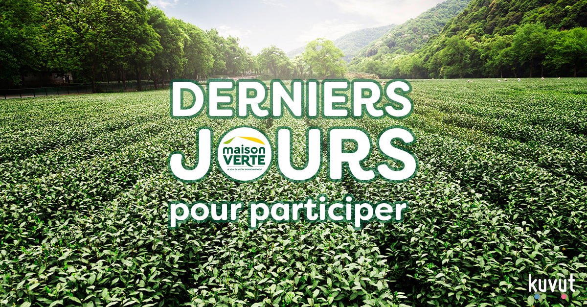 Le test produit Bioactiv7 touche à sa fin… il ne vous reste plus que quelques jours pour participer ! #lessivebioactiv7 #lessivemaisonverte
bit.ly/TwBioactiv7art…