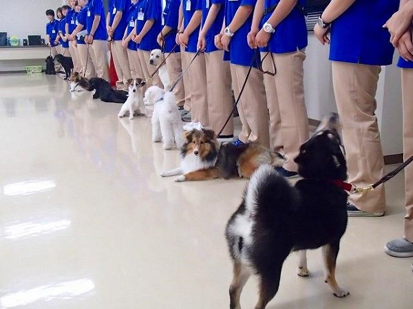 動物愛護ふれあいセンター