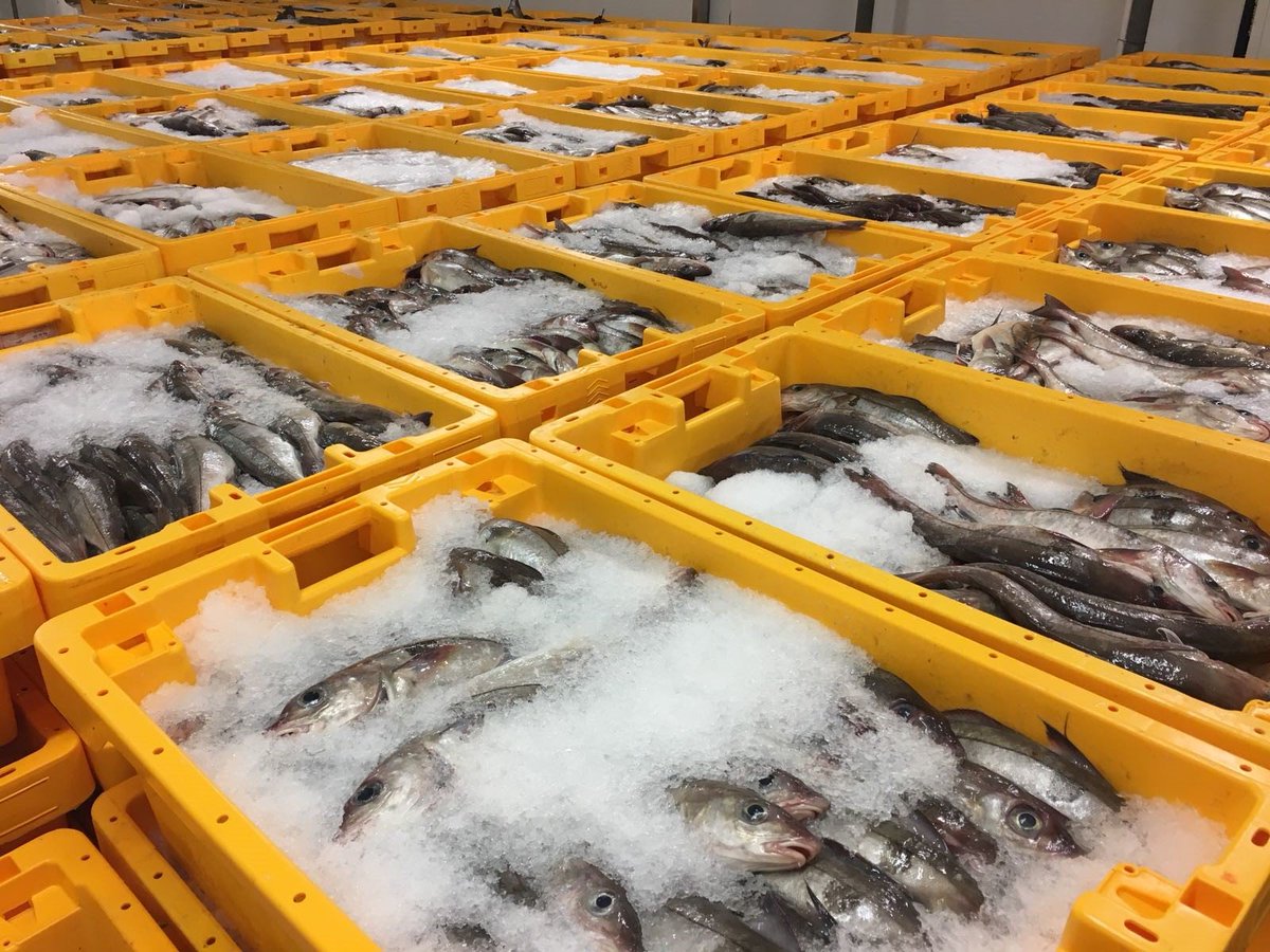 Seafood From Scotland tweet media