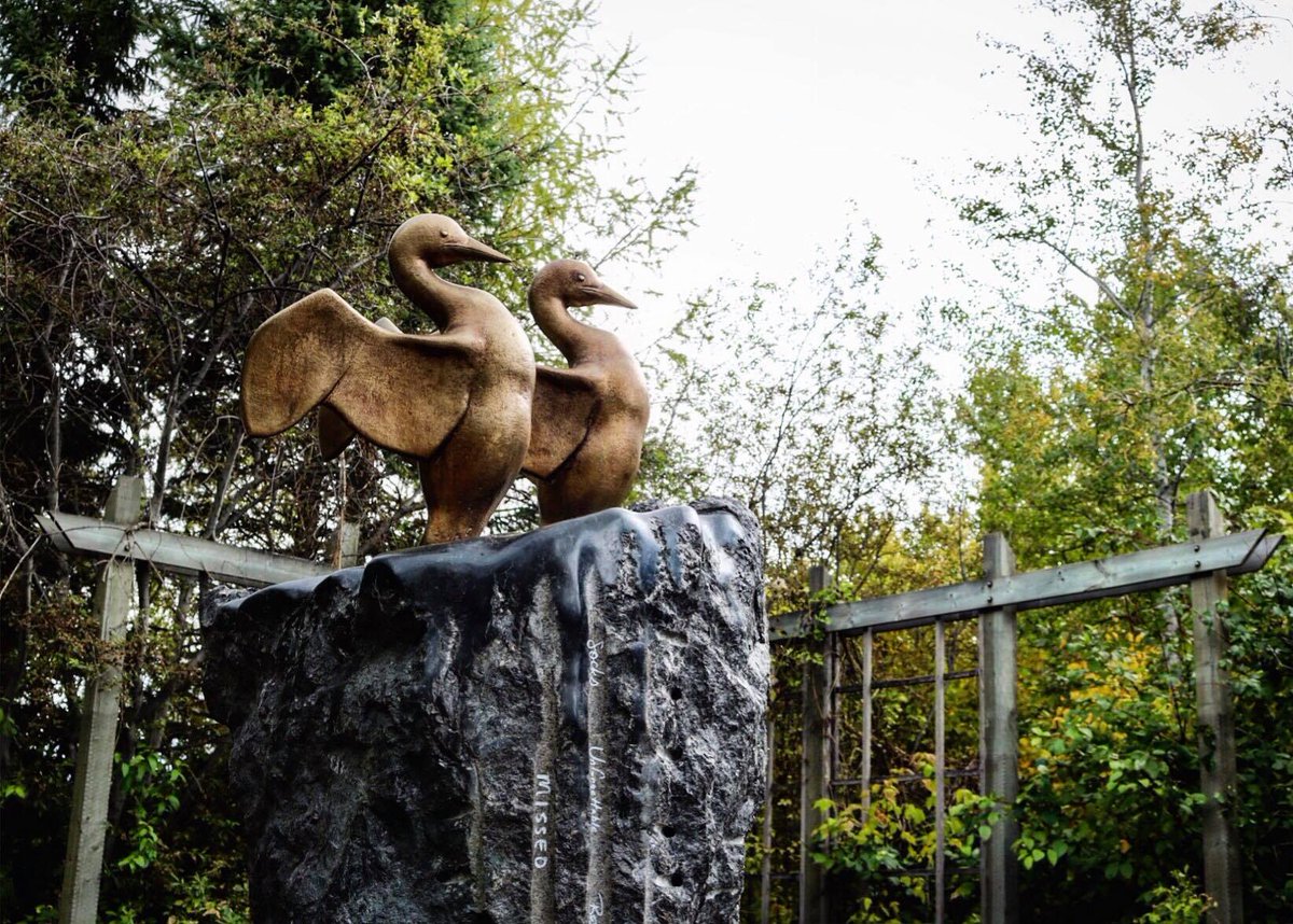 brettonmccann's tweet photo. Landscaping has recently been done for the Darling memorial at Grandin Pond in St. Albert. I think it is woolly thyme &amp; lavender. Should look beautiful in the spring! Thank you very much to Mika for the photographs. https://t.co/uLFBOn6FgA