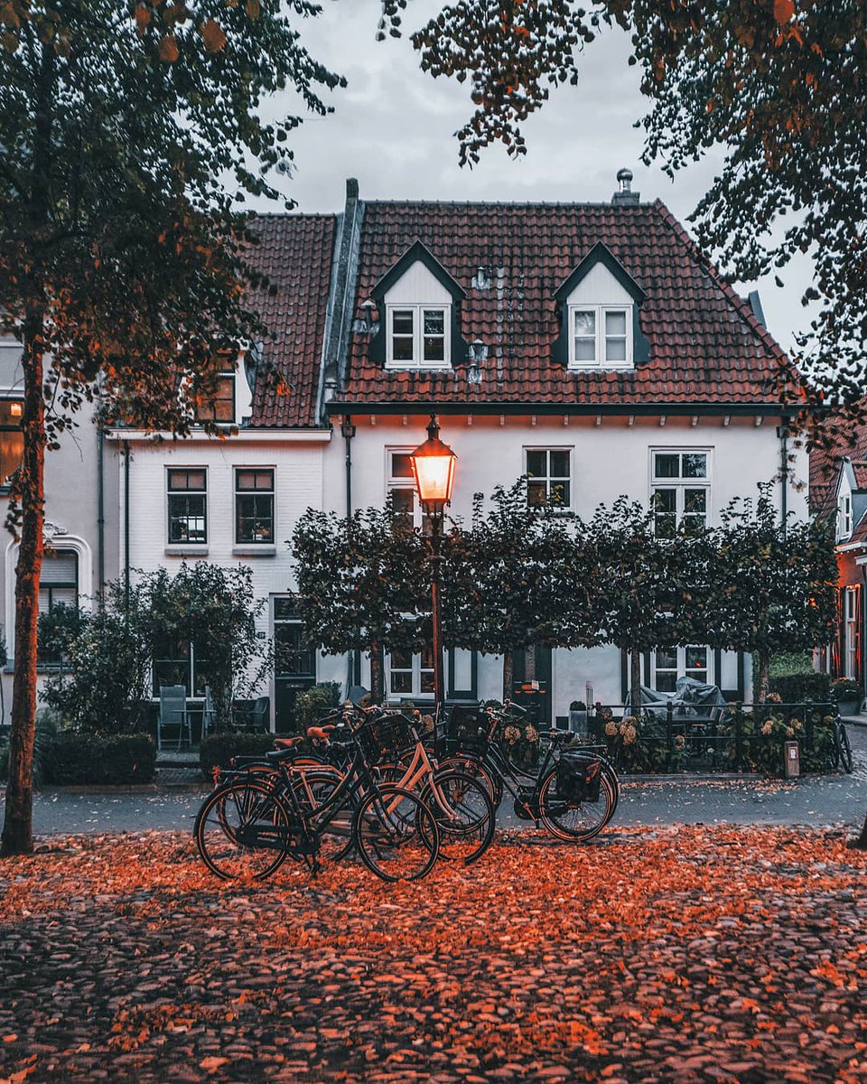 ✨Autumn in Harderwijk ✨
#Harderwijk #Netherlands #visitoost