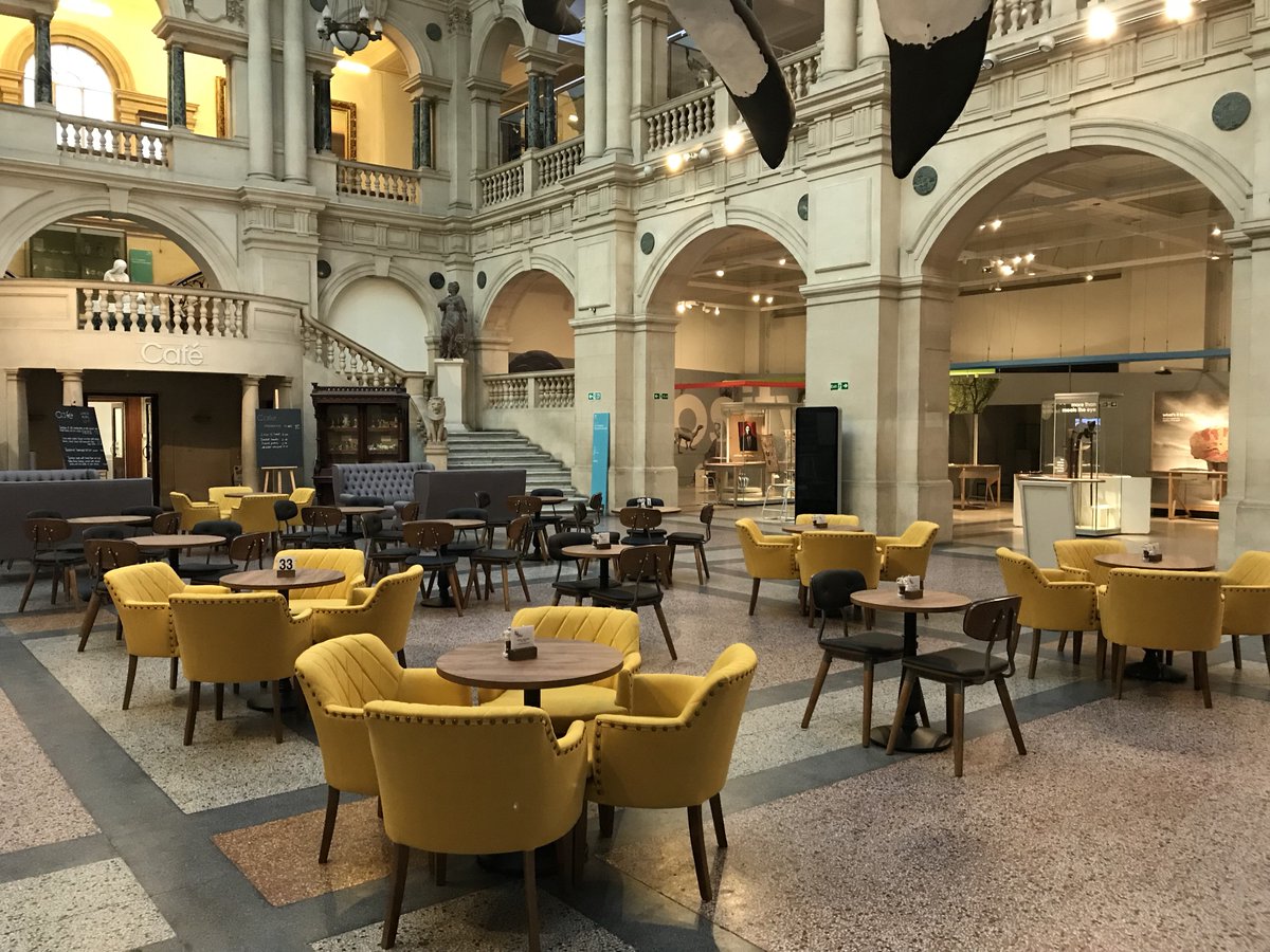 Bristol Museum & Art Gallery tweet media