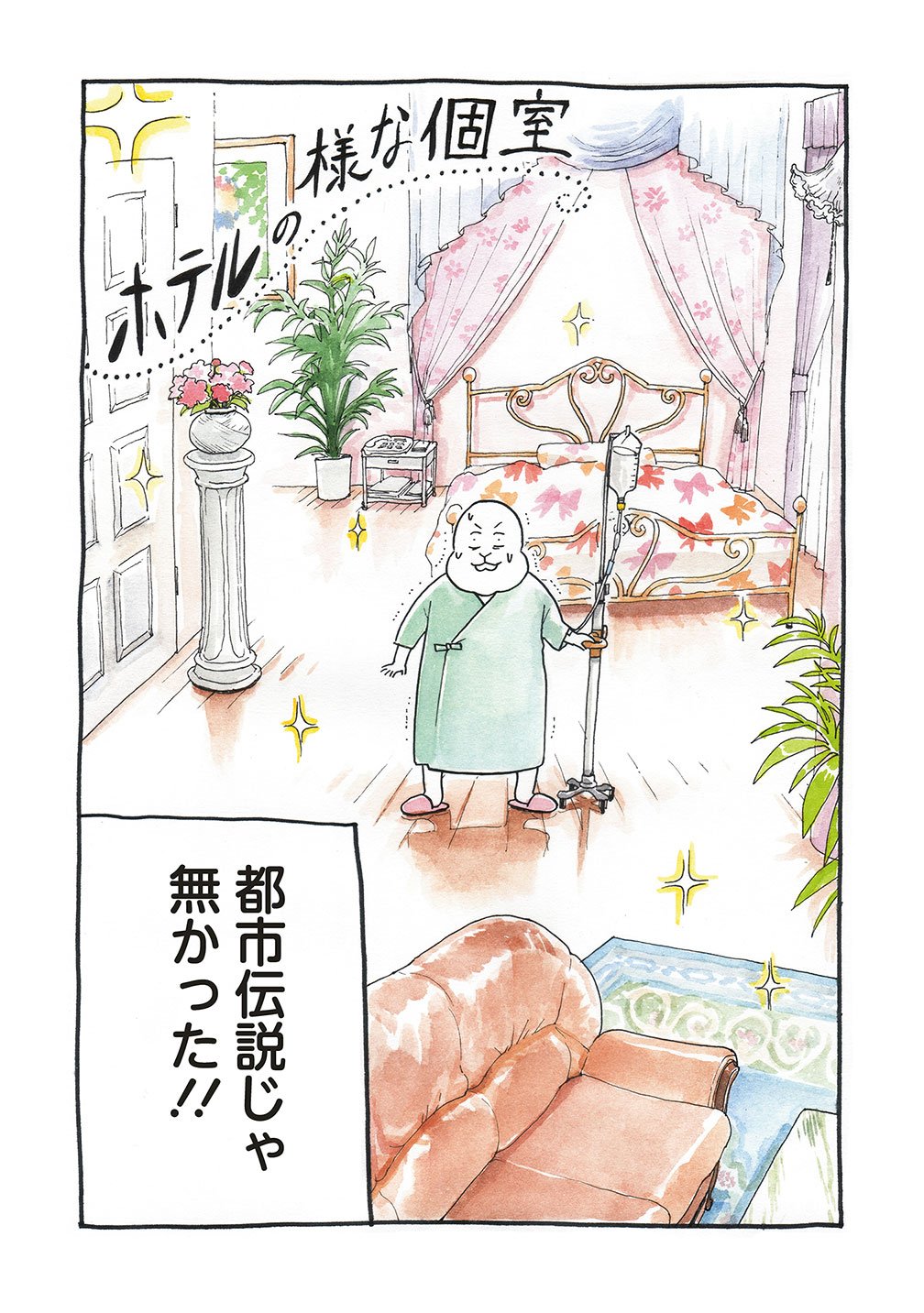 送料込 カーチャン様へ その他 Caes Com Do