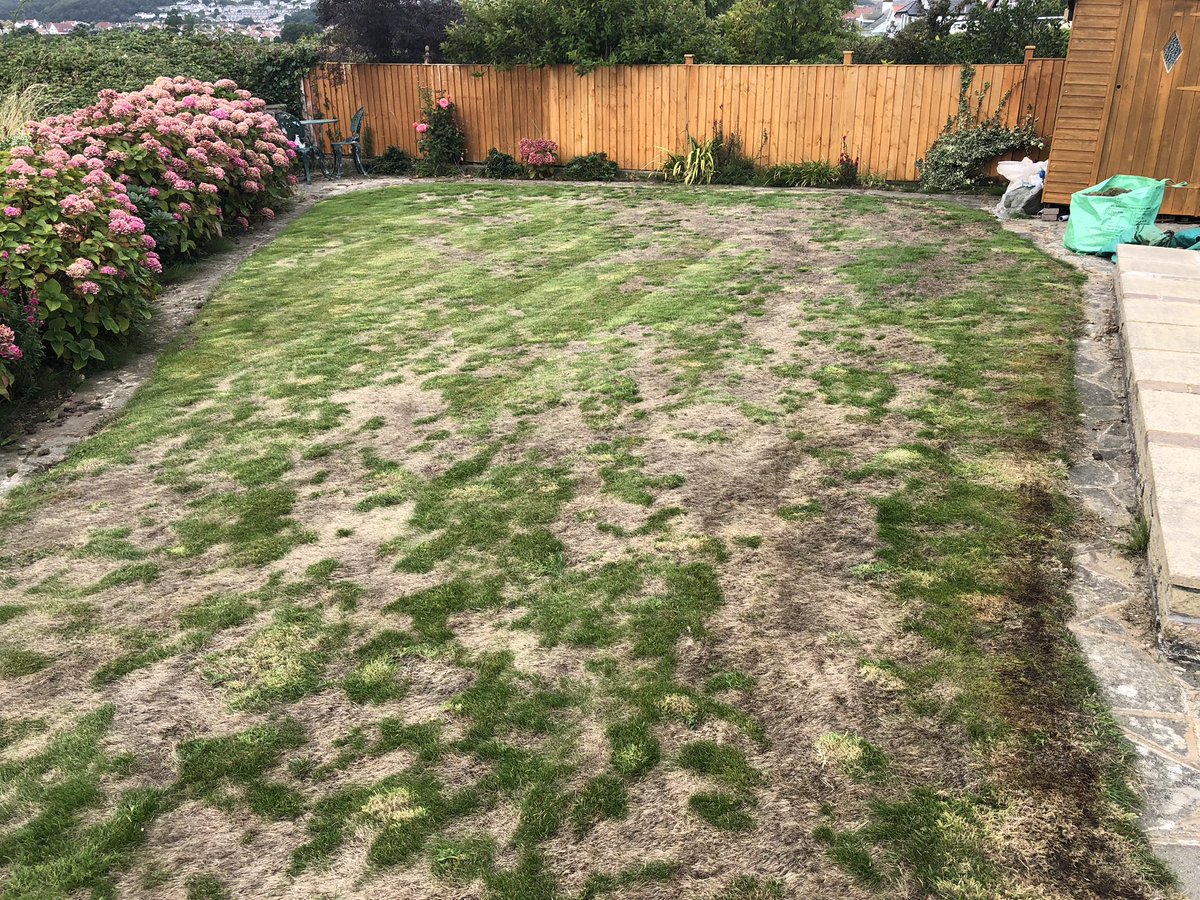Lawns are greening up nicely after the driest summers Lawn Medic recalls! If your lawn is still looking like this... call us on 01492 884499