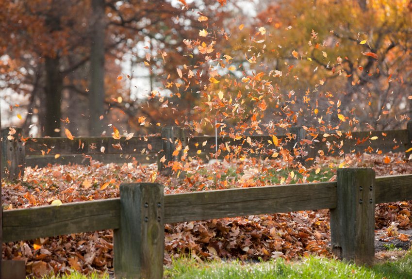 Valmatchen tweet media