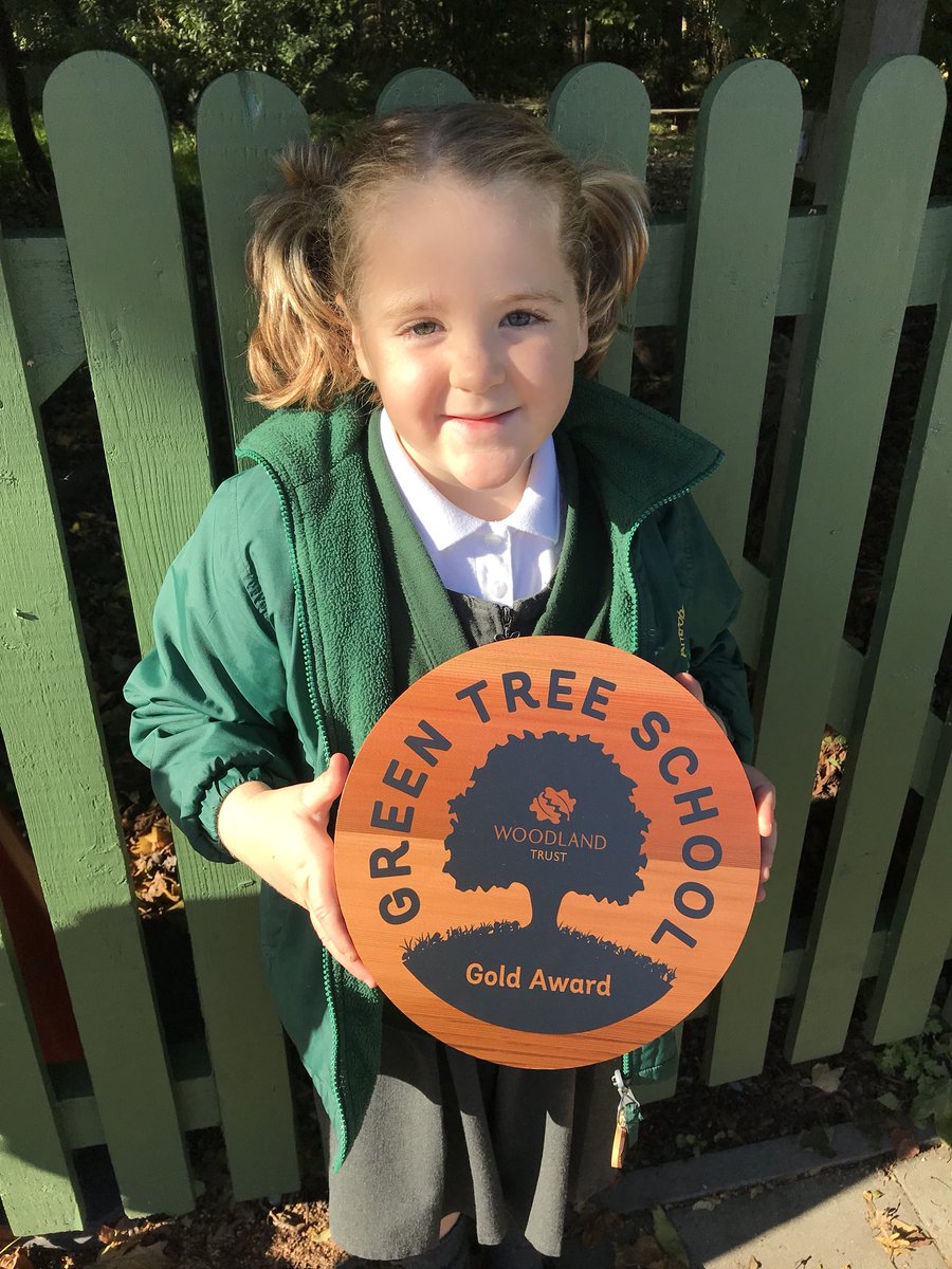 antrobus_st's tweet photo. Our award has arrived we can’t wait to get it up on the wall for all to see! Thank you @WoodlandTrust #goldaward #greentreeschool https://t.co/58skHsd7xL