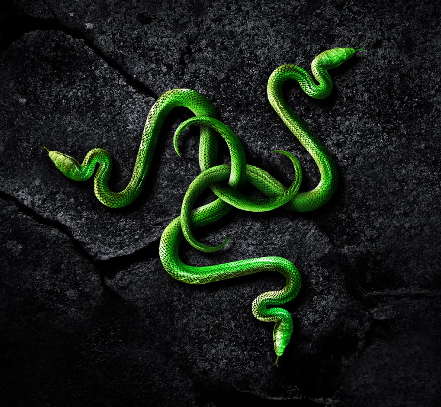 R L Z 3 R Razer のロゴはths トリプルヘッドスネーク とも呼ばれてるのですが この写真見るとしっぽが3つあるので3匹の蛇 じゃんとか ヘビの舌も緑ってありある とか余計な事を考えてしまいます こんな画像が沢山ダウンロードできるページは R L Z 3 R Razer のロゴはths トリプルヘッドスネーク とも呼ばれてるのですが この写真見るとしっぽが3つあるので3匹の蛇 じゃんとか ヘビの舌も緑ってありある とか余計な事を考えてしまいます こんな画像が沢山ダウンロードできるページは