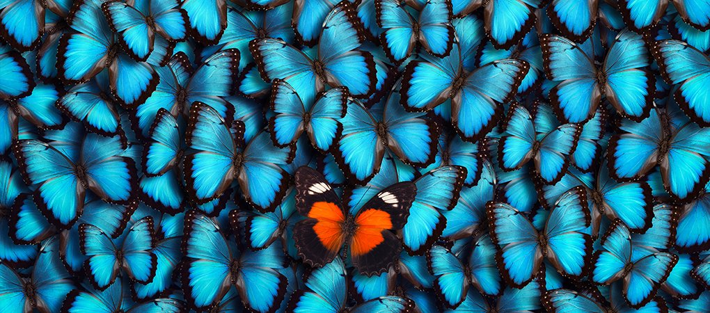 odoo_express's tweet image. Get Your Unique ERP for Your Unique Buinesses

#Odoo_customization has plenty of benefits. It can automate and streamline the business process of companies. 

#odoo #customization #odoo_ERP_customization #odoo_ERP #odoo_customization_service

tinyurl.com/ya89wqh5