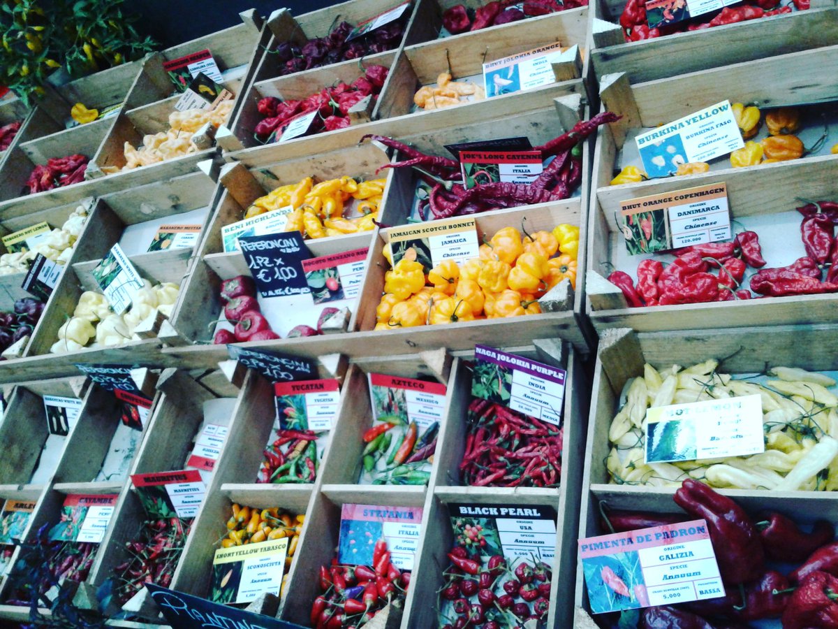 1/2 of Canning Sauce Co. is frantically harvesting &amp; dealing w/ frost protection Other 1/2 is spending a final few hrs in Italy at 27 degrees. 
Photo: Market hot peppers (Turin)