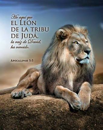 wildermathews's tweet photo. #Apoc5| El escenario es de victoria, León de la tribu de Judá. Indicación directa que Cristo es el único capaz de abrir los sellos porque fue inmolado y con su sangre nos ha redimido. No hay fracasos en sus manos somos victoriosos. #rpsp #PrimeroDios #ClubFacTeo https://t.co/TjEik6eHNJ