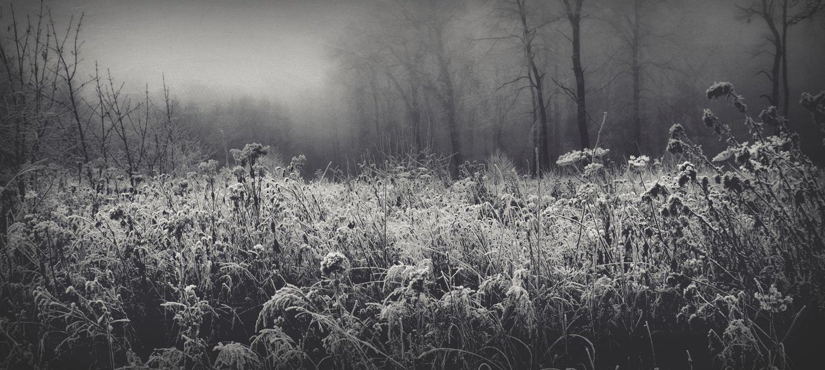 wongsusie (@withnomoney) on Twitter photo 