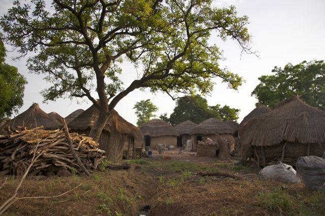 Fair2Tweet's tweet photo. Maak een prachtige rondreis in Ghana ervaar de cultuur in al haar facetten en ontdek de natuur in zijn pure schoonheid. Er is van alles mogelijk in overleg. #Ghana,#culture, #pure, #nature, #roundtrip https://t.co/spBNDy6TVp