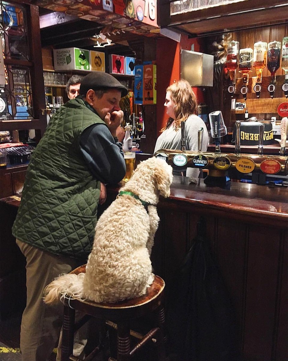 We have the best customers 💚 #dogsinlondon #dogsinpubs
