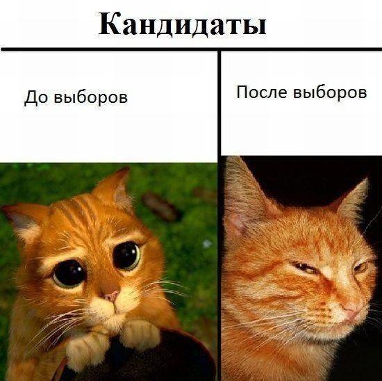 Рисунки из вк смешные, картинка жабы смешные
