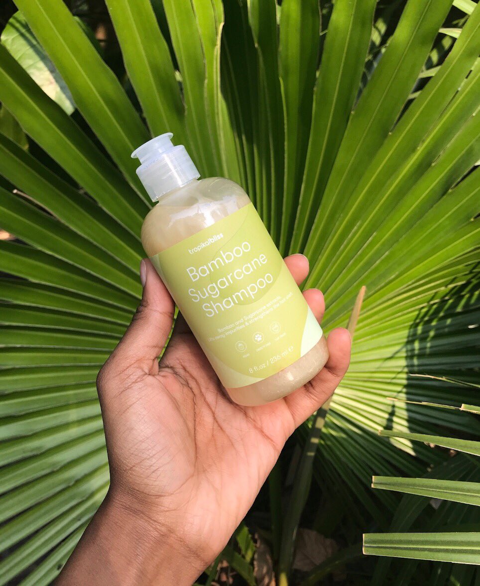 🚫 Don’t stress about SLS - this shampoo is formulated without the harsh Chemicals. 🍃
—————
We’ve added bamboo and sugarcane to soften, shine and cleanse your hair to #CURLfection 💦➰ #tropikalbliss #vegan