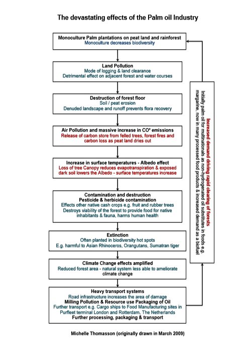 Devstating effects of palm oil!