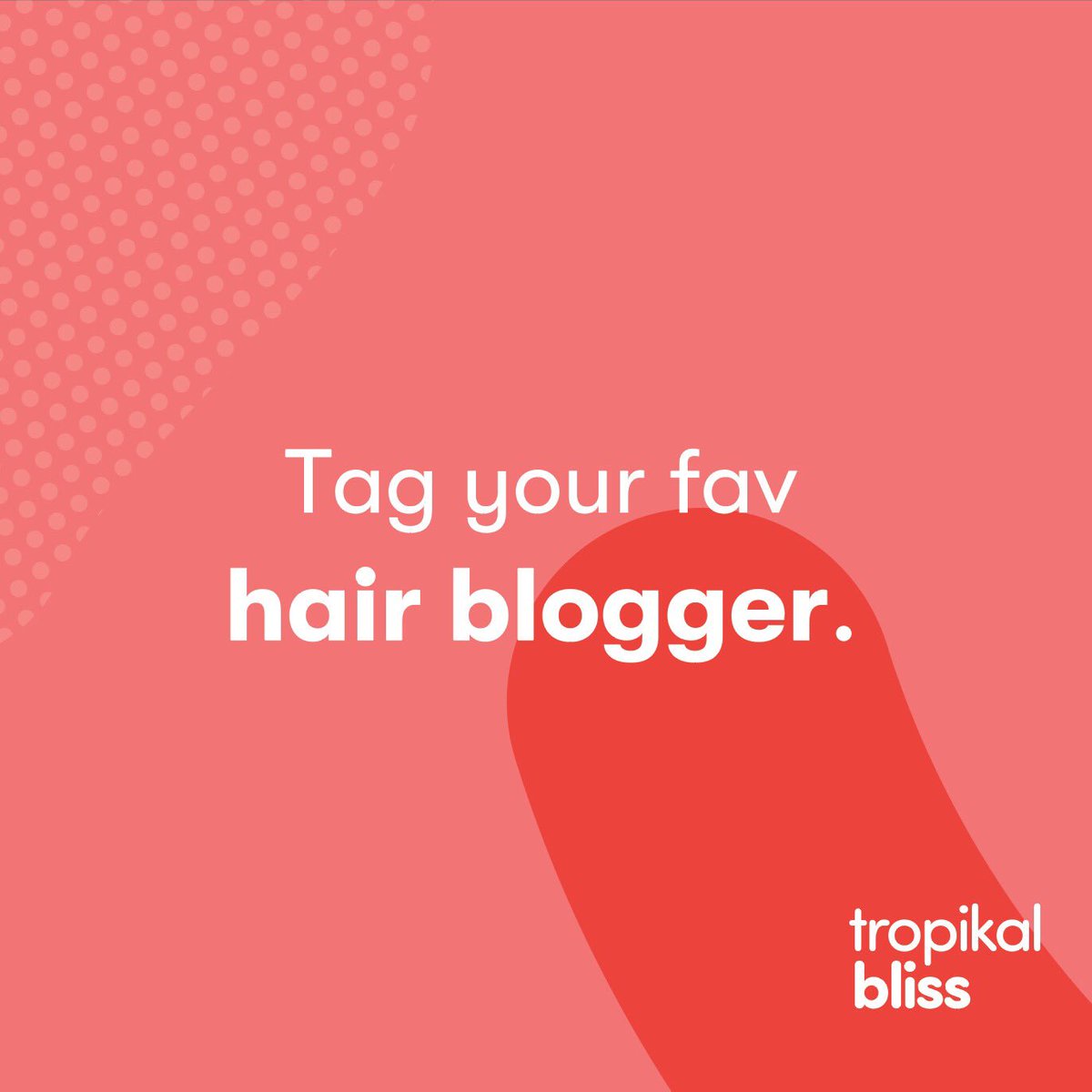 💭 Let us know in the comment section your favourite hair guru 💕➰ #blisstalk