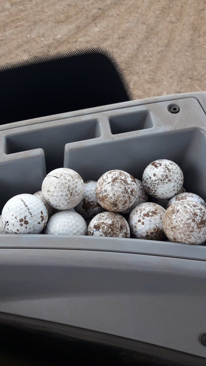 cornceres's tweet photo. One of the perks of farming a field next to a golf course #shankedit #finderskeepers https://t.co/g3f6TpAqDj