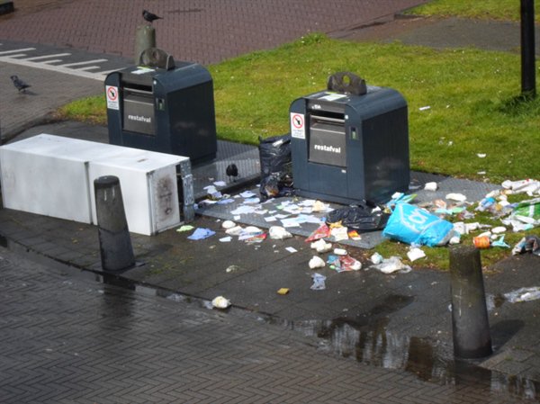 De Schiedammer tweet media