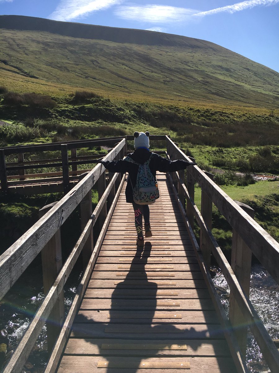 Paul Collingridge tweet media