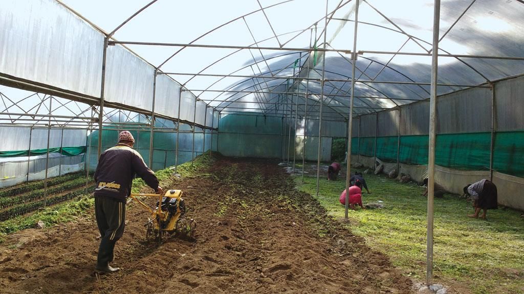 okorder's tweet image. 😅Never trust that the agricultural net made from nylon or polyester can be used for a long time, it is UV coated after manufacturing, and it will break down quickly when it wears off.  
#Agtech #insectnet