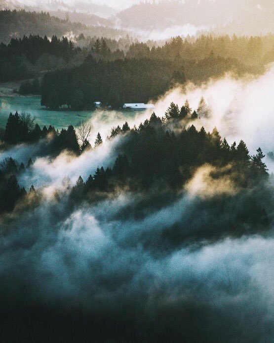 coffee_n_mtns's tweet photo. Pacific Northwest https://t.co/4mKg1EAZte