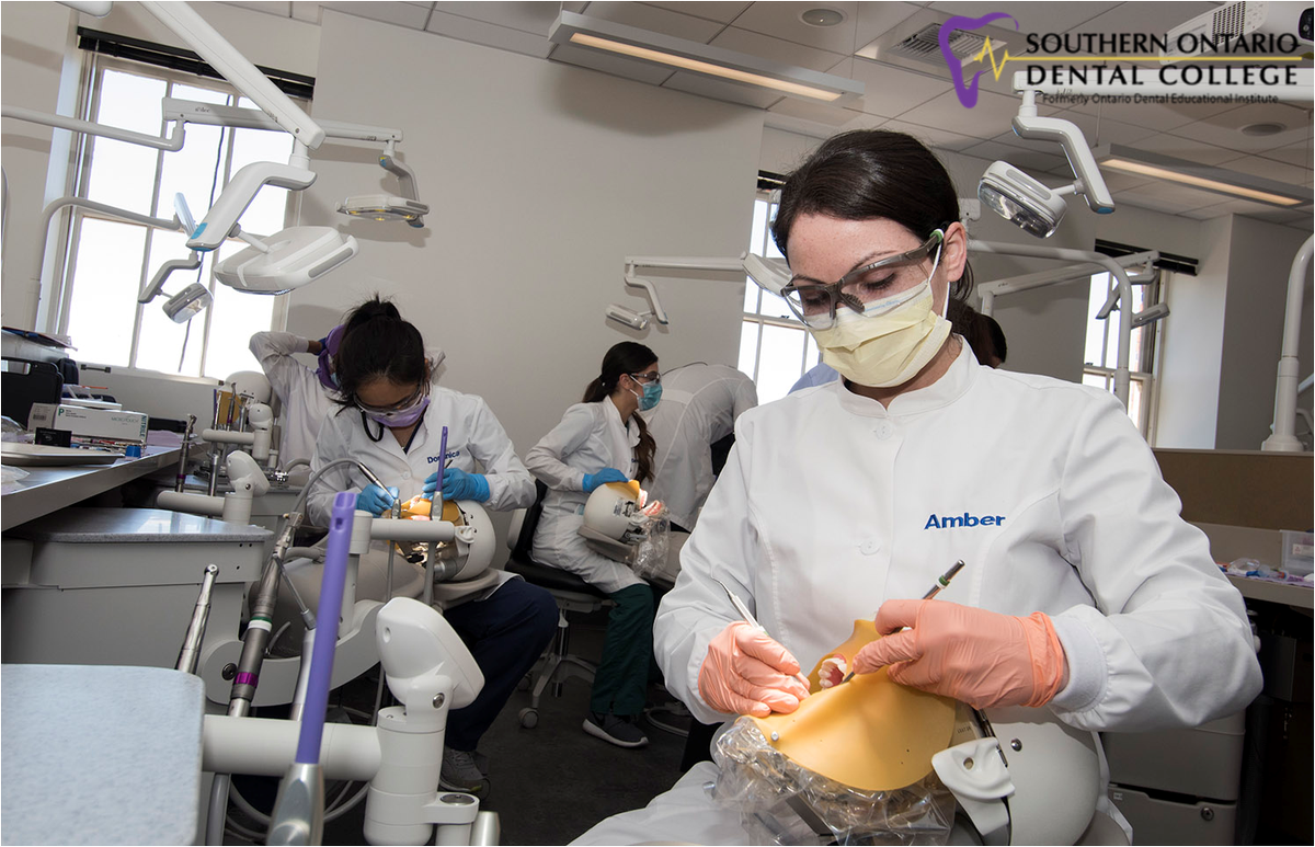 dental_ontario's tweet photo. Take a look at what our Dental Hygiene program has to offer.
.
.
.
Click here: https://t.co/tEWiklCm20 #DentalHygieneprogram #DentalCollege #SouthernOntario #healthcare #EducationalInstitution #Canada #Ontario #DentalHygieneservices https://t.co/3c2ZtHMHzv