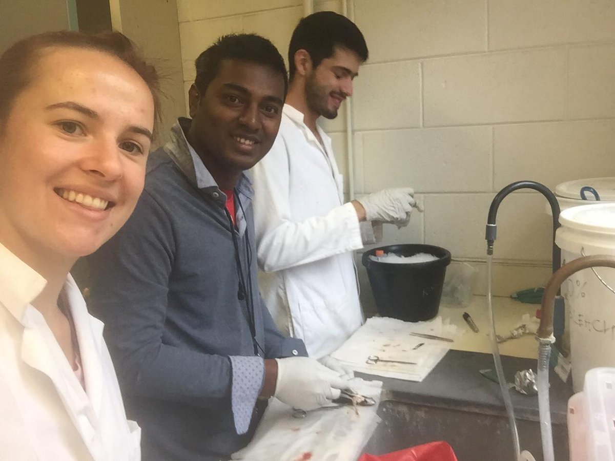 Dr. Irene Salinas Remiro (@drsalinaslab) on Twitter photo Welcome Pankoj Das, the newest PhD student of the lab (#4). Current status of his first big in vivo experiment! Pankoj in the middle with <a href="/aurora_kraus/">Aurora Kraus</a> <a href="/mrbrown715/">Ryan Brown</a> Welcome Pankoj Das, the newest PhD student of the lab (#4). Current status of his first big in vivo experiment! Pankoj in the middle with <a href="/aurora_kraus/">Aurora Kraus</a> <a href="/mrbrown715/">Ryan Brown</a>