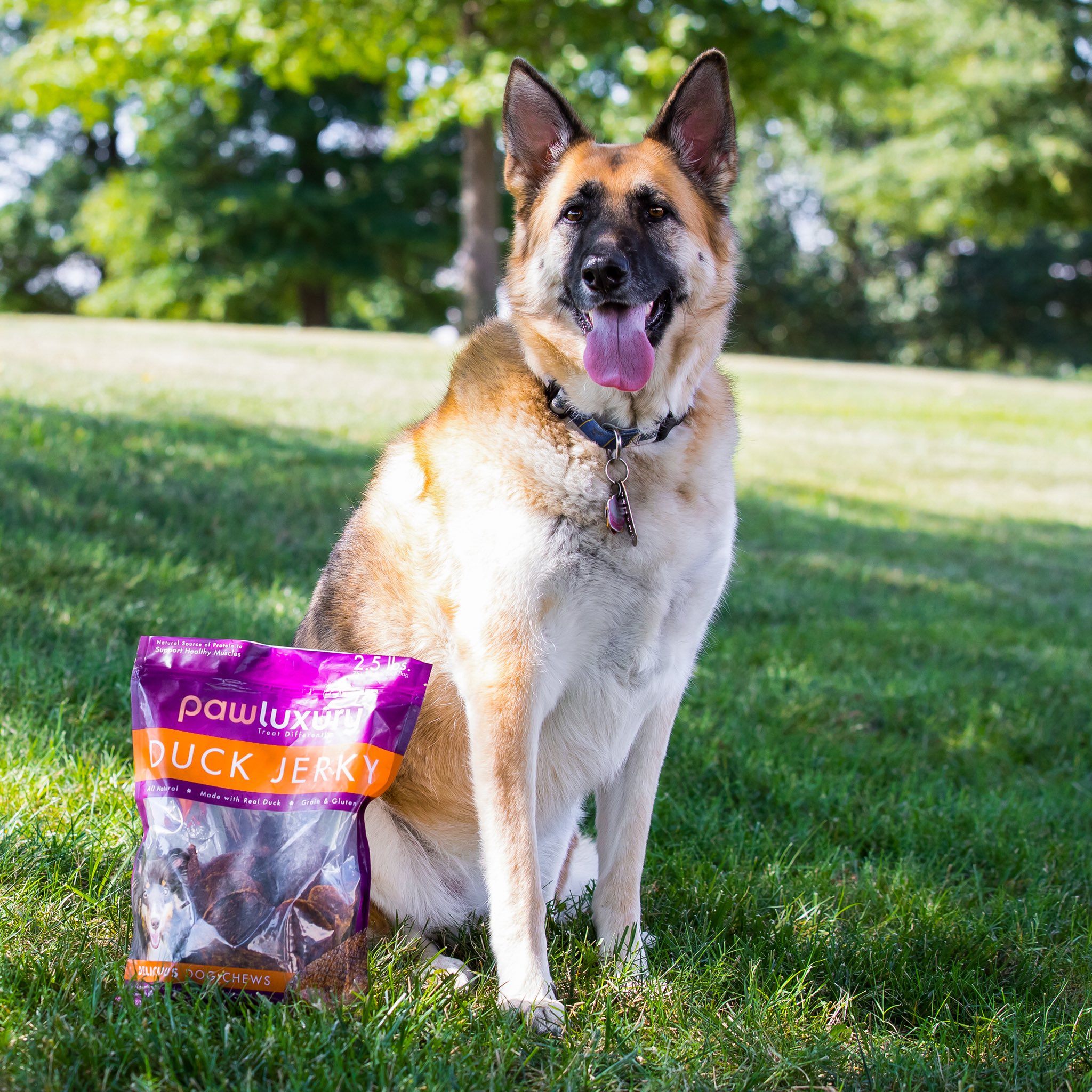 Pawluxury yak store cheese chew