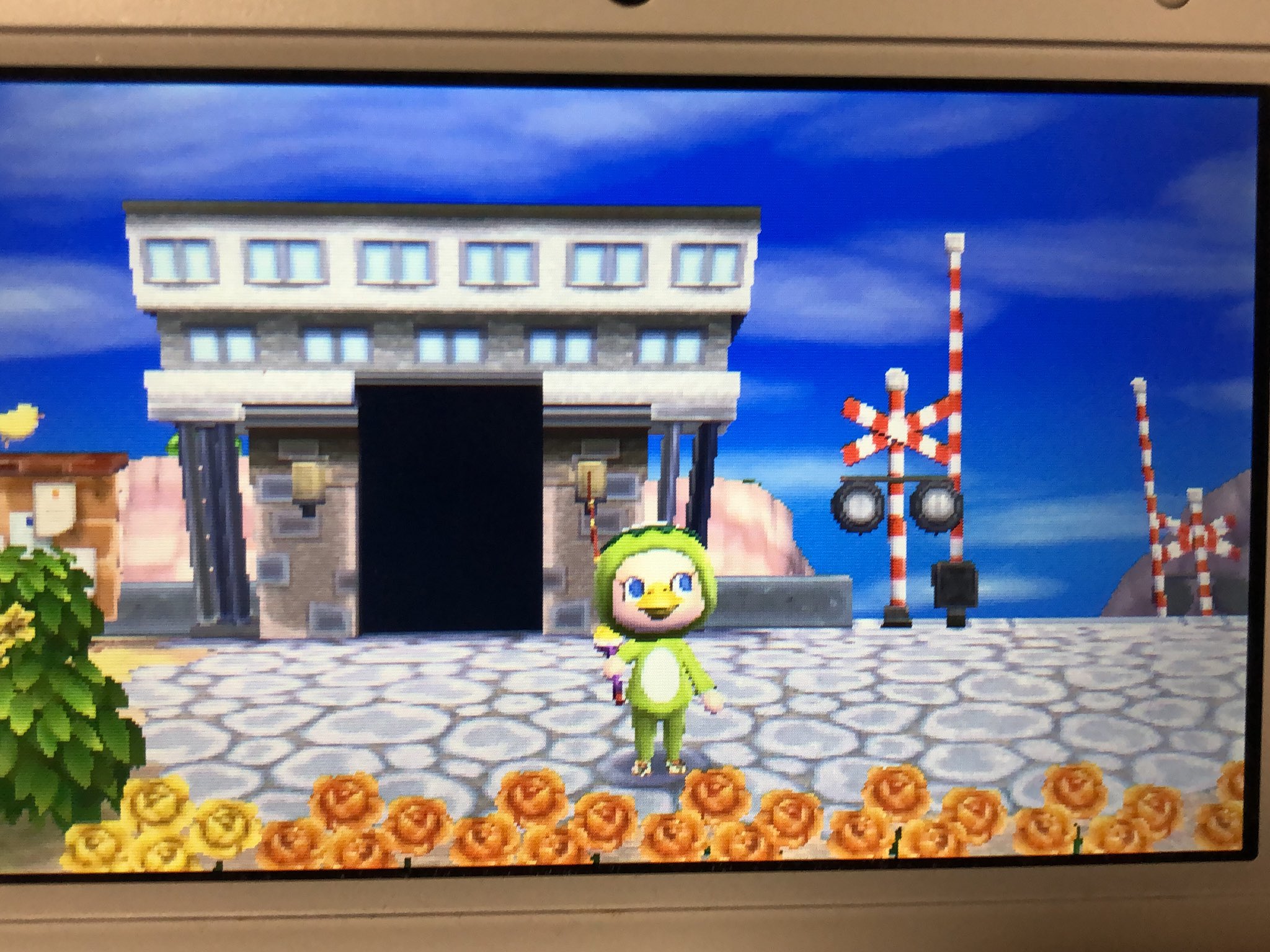 ひらたひろえ とびだせどうぶつの森 南の島のお土産物屋さんでずっと探していた カッパなズボン をついに入手 全てのパーツが揃ってカッパコスプレができた これで アクセサリー ぼうし くつ くつした トップスに続きボトムスもオールコンプ