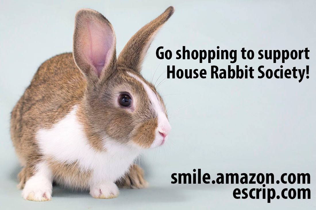 House Rabbit Society (Houserabbit) Twitter