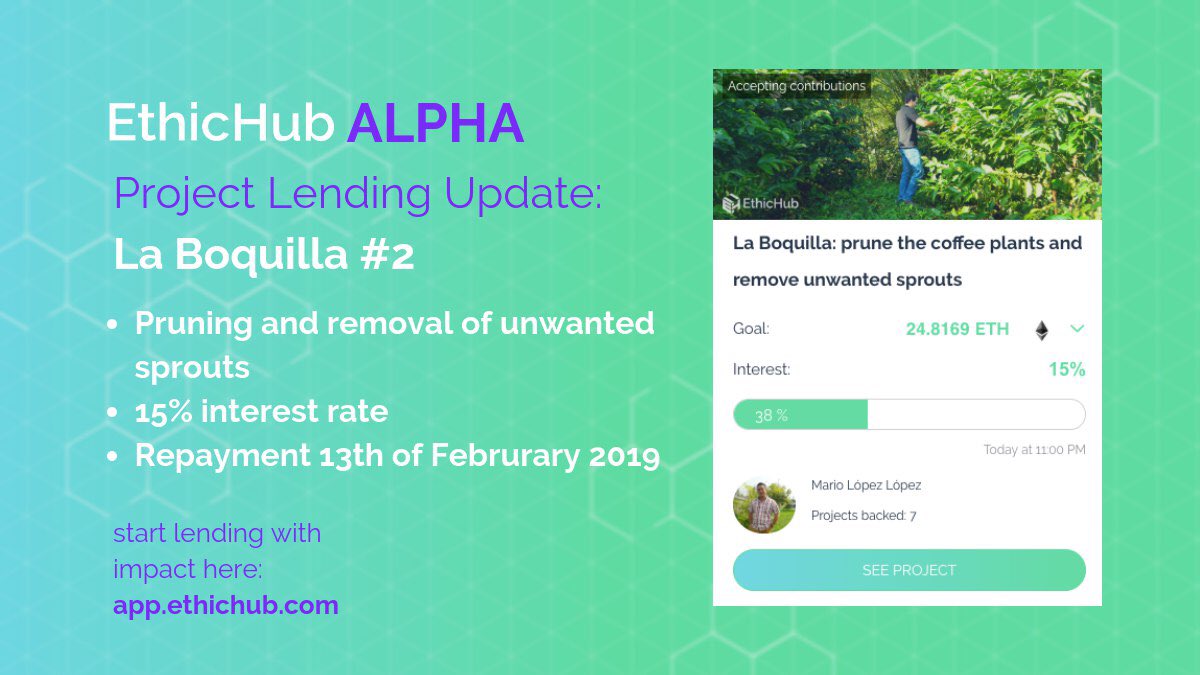 b4_humanity's tweet image. We’re opening applications for the second edition of #b4h awards and @EthicHub one of the last year winners is already financing coffee farmers using #Blockchain. Use your #ETH with a real and working use case and make an impact,and a 15 % profit. Enter in app.ethichub.com