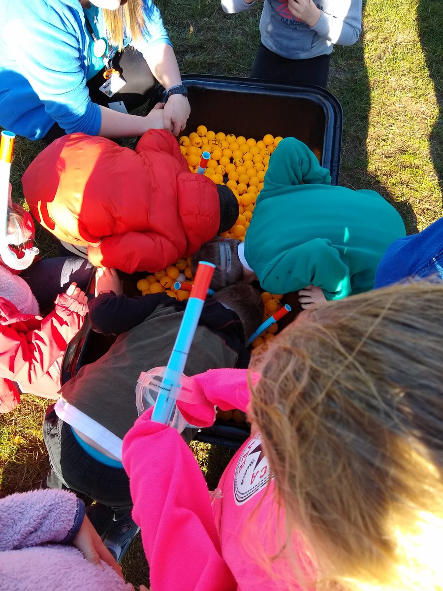 Willowbrook_Exe's tweet image. Thanks for an incredible day @DevonWildlife! Our #WildlifeChampions had some fantastic experiences (including tree listening!) with tub snorkelling being the all-round favourite!