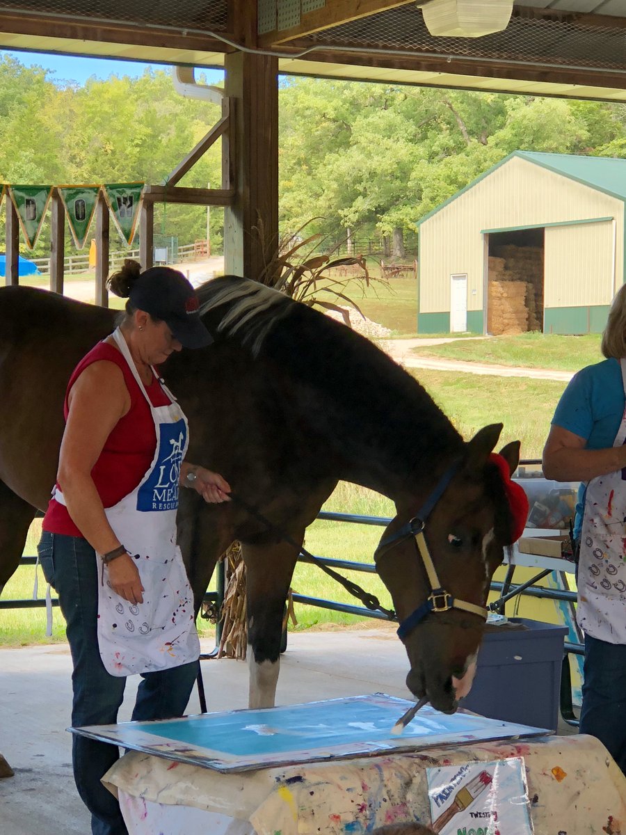 Had a blast showing <a href="/TODAYshow/">TODAY</a> around our NEIGH-borhood this past weekend! Stay tuned for their video featuring Twister, the inspirational painting horse and <a href="/hsmo/">Humane Society of Missouri</a> Longmeadow Rescue Ranch Barn Buddy ambassador.