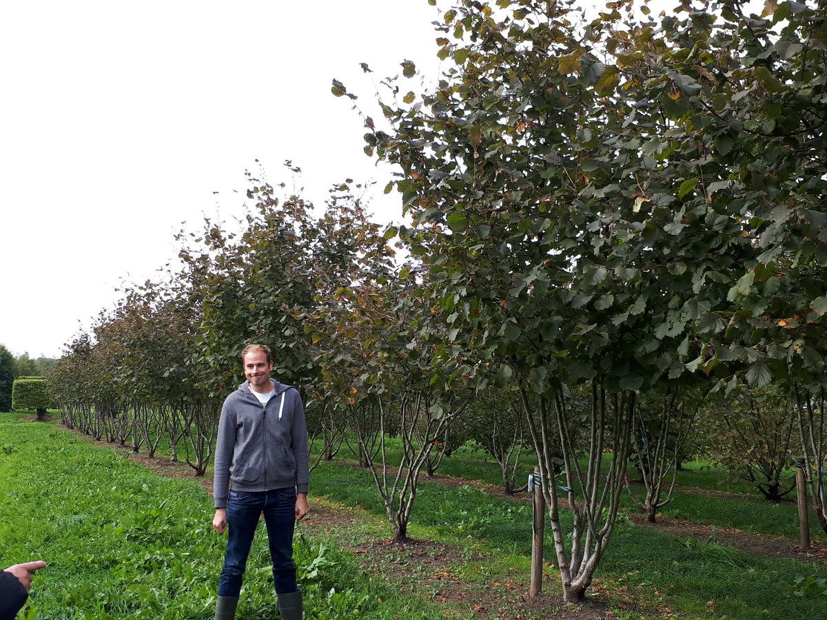 Afgelopen vrijdag met ons personeel een mooie bezichtiging gehad bij #VandenBerkBoomkwekerijen. Bart van Laerhoven bedankt voor de uitnodiging!