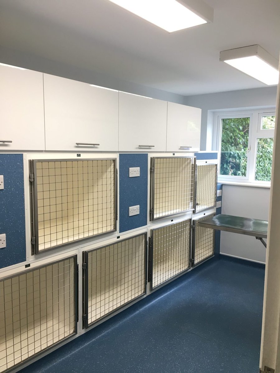 kynochvets's tweet photo. Kynoch Vets Wokingham refurbishment gathers pace &amp; staff update https://t.co/pfRQyNZpbB https://t.co/QrgEPP5oai