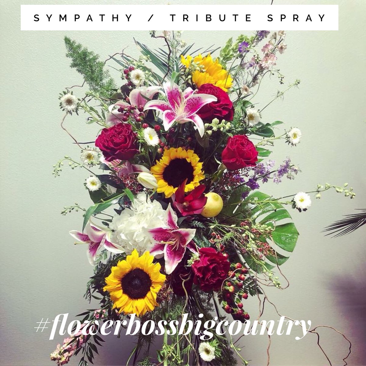 FLOWERBOSS1's tweet photo. Flower Boss
4802 S. 14th
Abilene, TX. 79605
325-829-1922
#flowerbossbigcountry #creativeflow #flowerboss #flowers #tribute #sympathy #honor #inlovingmemory https://t.co/oOH9QPsx3N