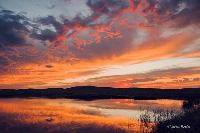 There's just something about #southeastmontana. 📷 @sharonborlaphotography

#sunset #outheremt #igsunset #mysemt #onlyinsemt #bestofmontana #montanamoment #skiesofinstagram ift.tt/2OPO4z8